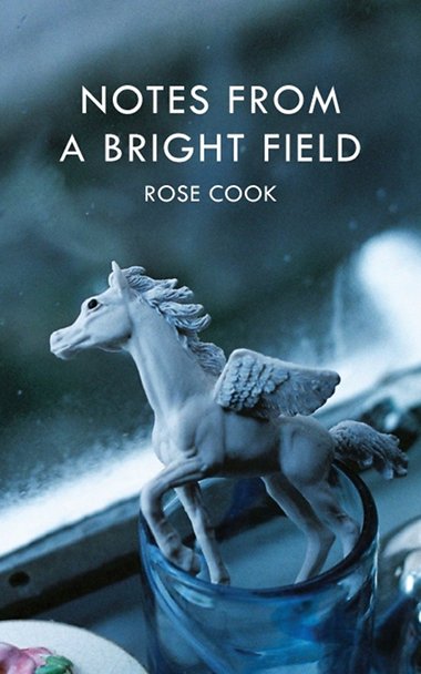Notes From A Bright Field book cover