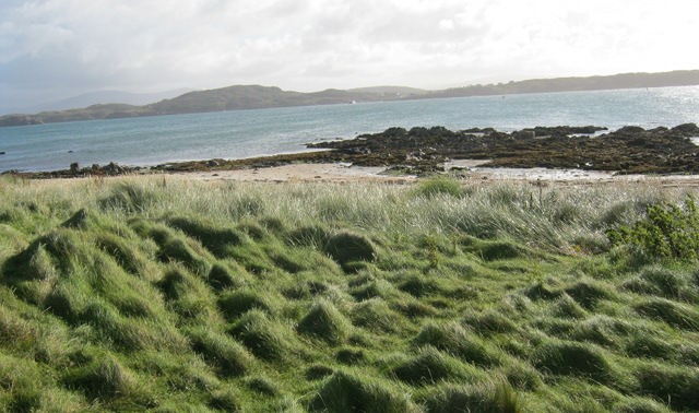 Iona beach cr Judy Darley