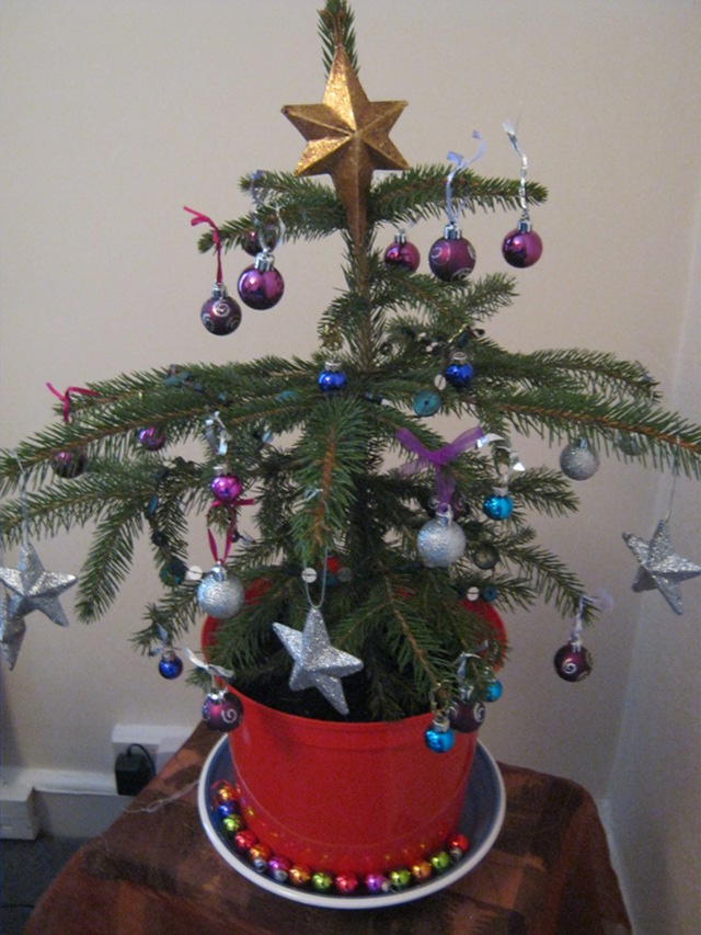 Little Christmas tree cr Judy Darley