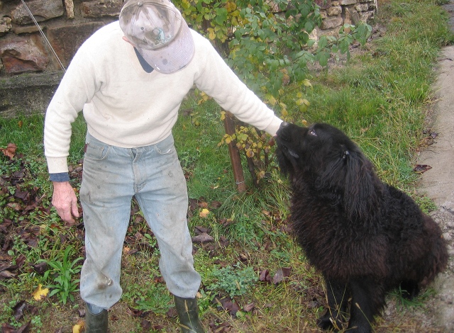 Azienda Agricola Tenuta degli Angeli dog
