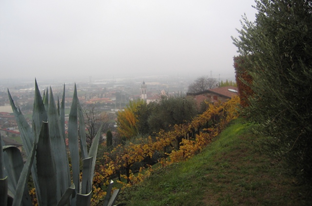 Azienda Agricola Tenuta degli Angeli vineyard views cr Judy Darley