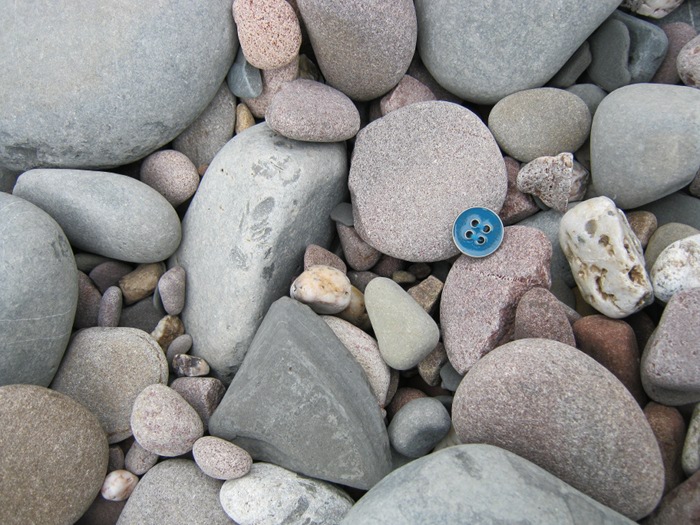 Button on Kilve Beach cr Judy Darley