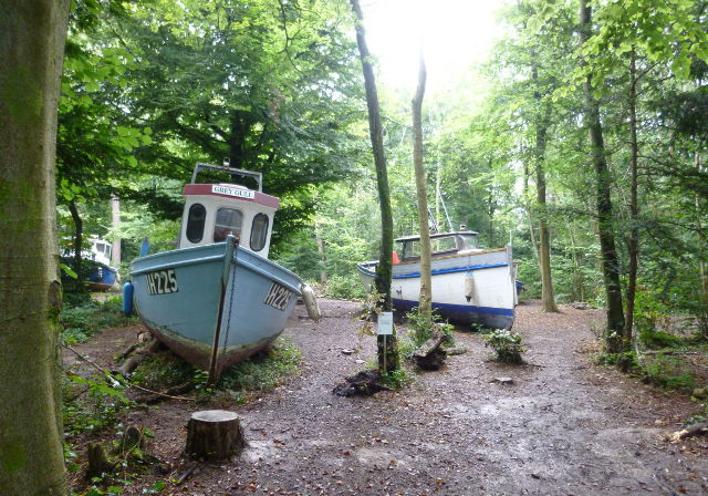 Luke Jerram-Withdrawn-Grey Gull cr Judy Darley