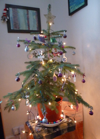 Our little Christmas tree 2015 by Judy Darley