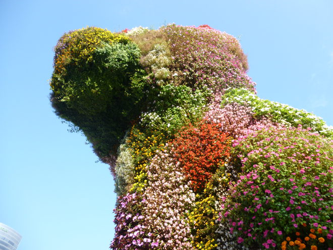 Puppy by Jeff Koons cr Judy Darley