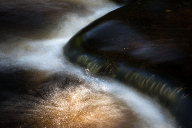In Search Of by Bill Ward Photography