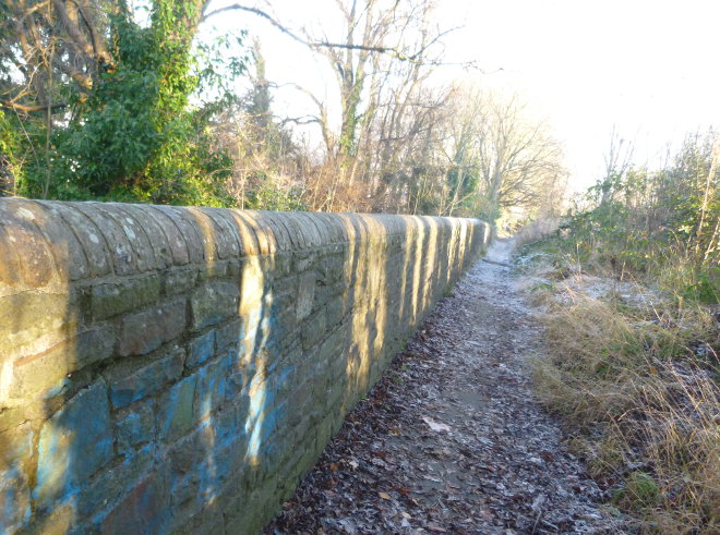 Arnos Vale path by Judy Darley