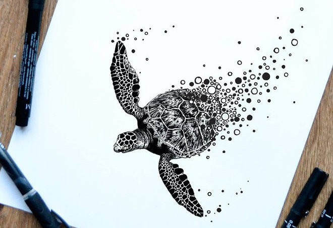 Turtle by Cai Burton