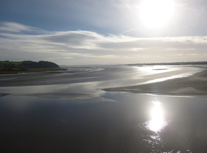 Dylan walk estuary serenity