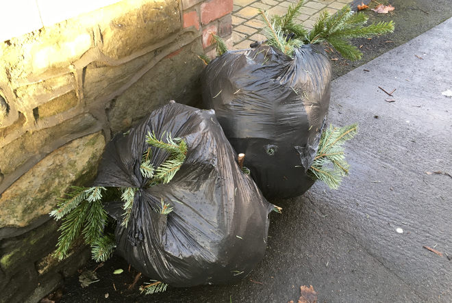 Christmas tree binbags cr Judy Darley