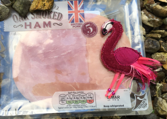 Flamingos and Ham by Judy Darley