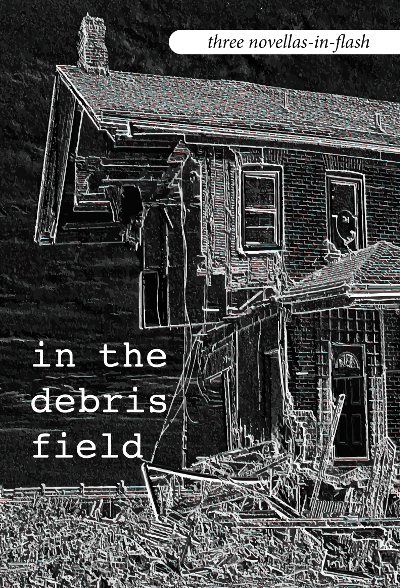 in-the-debris-field