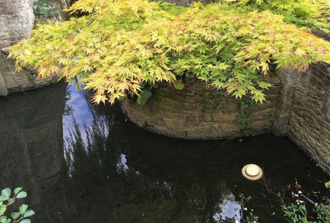 Floating boater, Oxford by Judy Darley