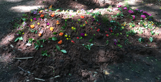 Arnos Vale woodland grave cr Judy Darley