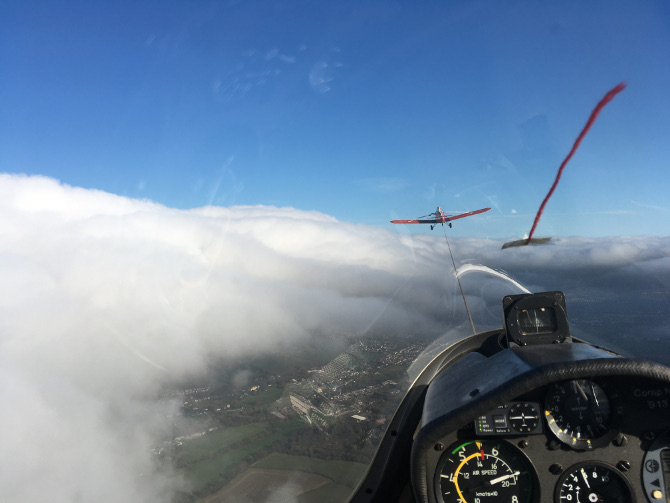 Glider. Photo by Judy Darley