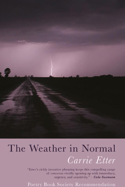 The Weather In Normal cover