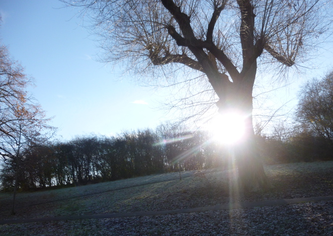 Victoria Park frost by Judy Darley