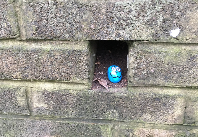 Kindness Rocks_Arnos Vale_photo by Judy Darley