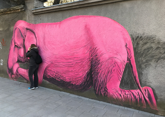 Pink Elephant Kaunas Lithuania. pic by Judy Darley