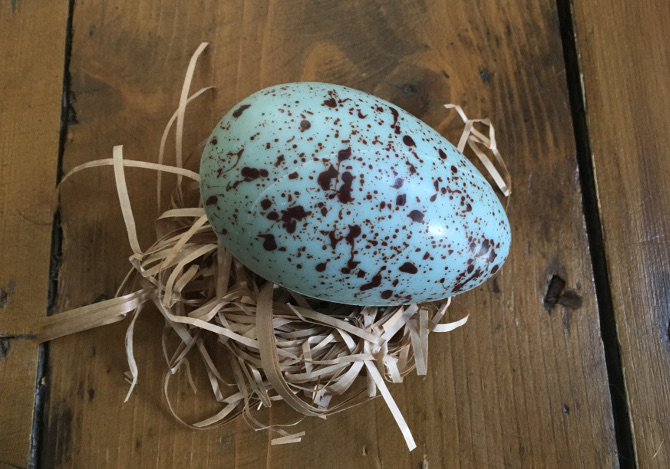 White chocolate albatross egg_photo by Judy Darley