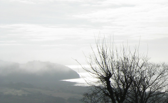 Taf Estuary, mist photo by Judy Darley