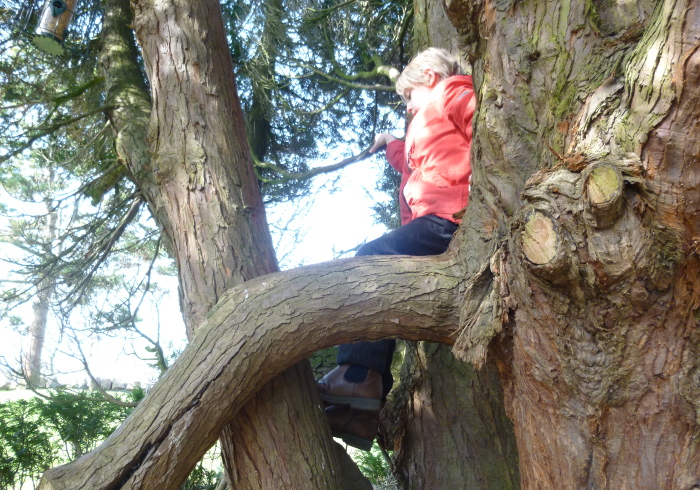 Brandon Hill, Bristol, child in tree by Judy Darley