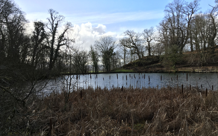 Dinefwr water meadows. Lake. Photo by Judy Darley