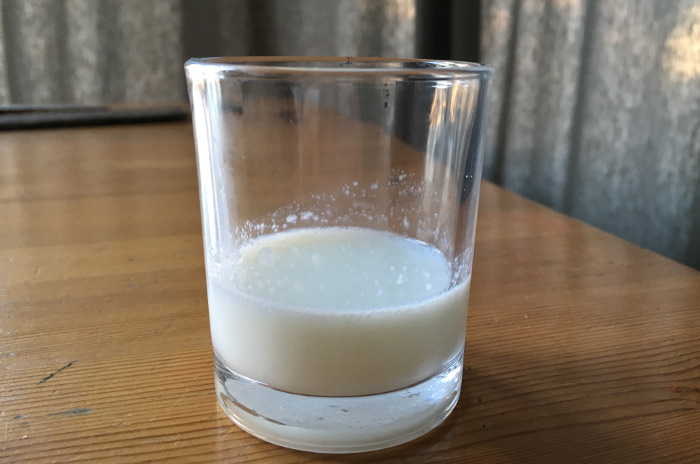 Milk by Judy Darley