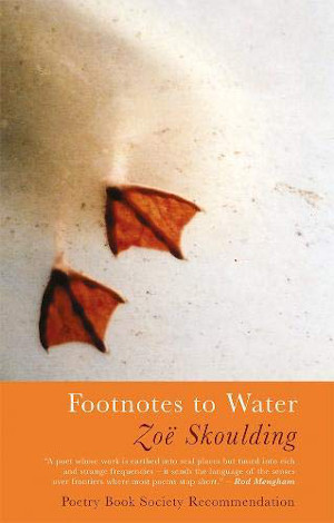 Footnotes to Water cover