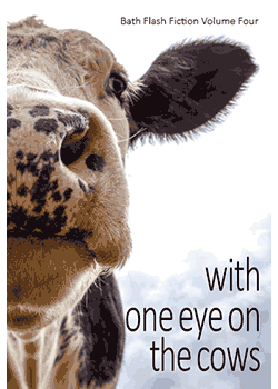 with-one-eye-on-the-cows