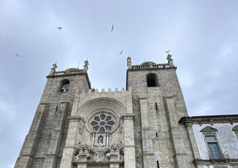 Seagulls above Porto Cathedral1 by James Hainsworth