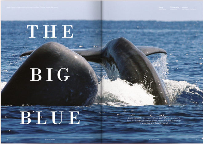 A Year In Portugal The Big Blue dps