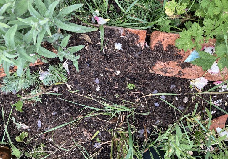 Someone has been digging by Judy Darley. Shows a flowerbed with disturbed soil.