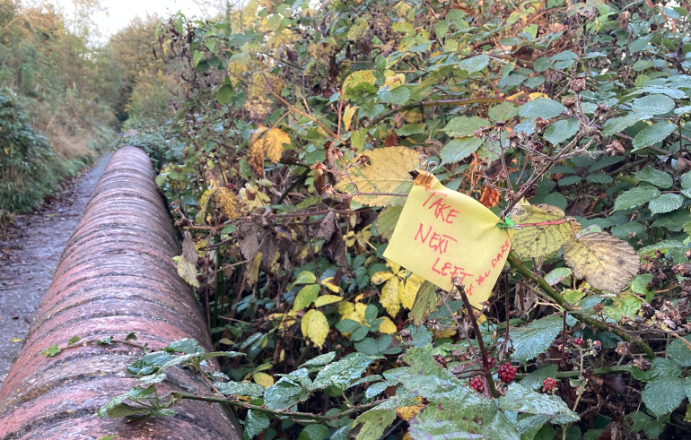 Take Next Left by Judy Darley. Shows a yellow Post-it note pinned to brambles in a rural setting with a path running along one side.