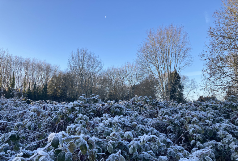 Arnos Vale in the morning frost_by Judy Darley