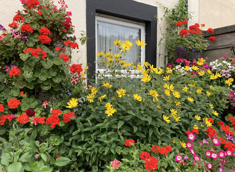 Floral excess near Victoria Park by Judy Darley