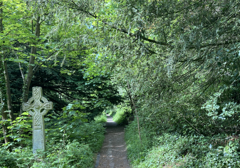 Arnos Vale tree tunnel by Judy Darley