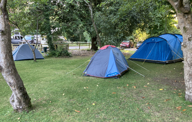 Flash Festival Festival camp. Photo by Judy Darley. Shows tents among trees.