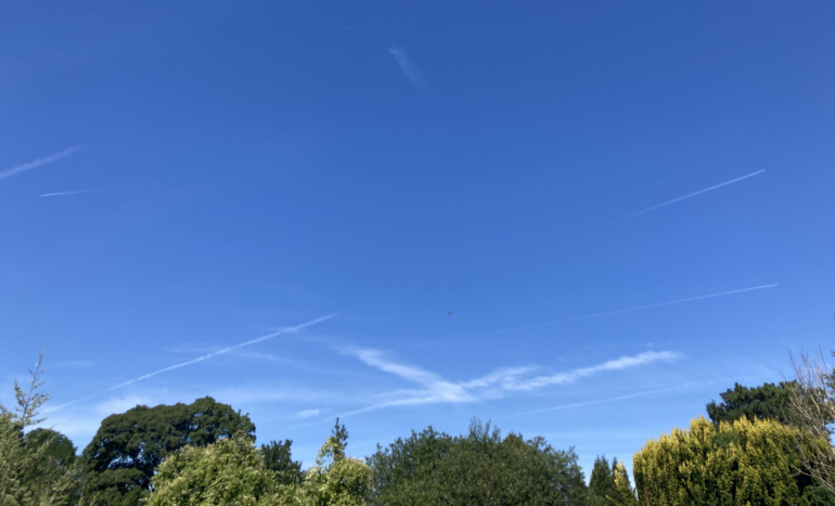 Arnos Vale vapour trails_Photo by Judy Darley