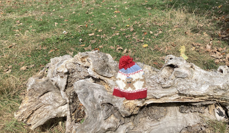 Winter hat_Victoria Park_August_by Judy Darley