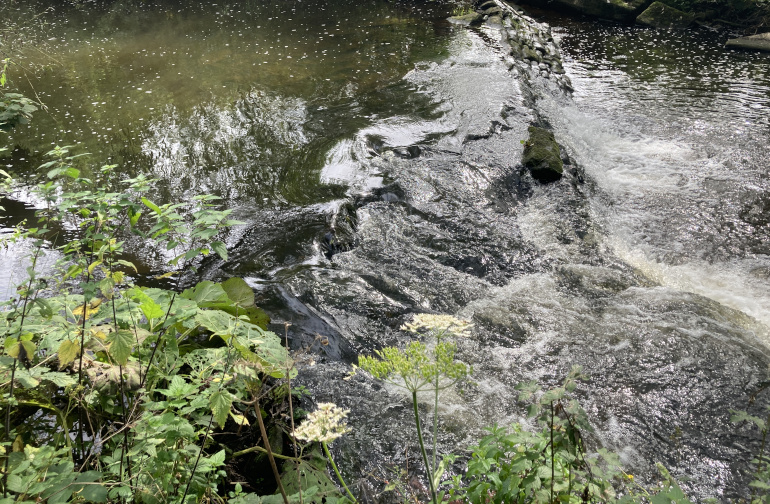 New Mills Waterfall by Judy Darley