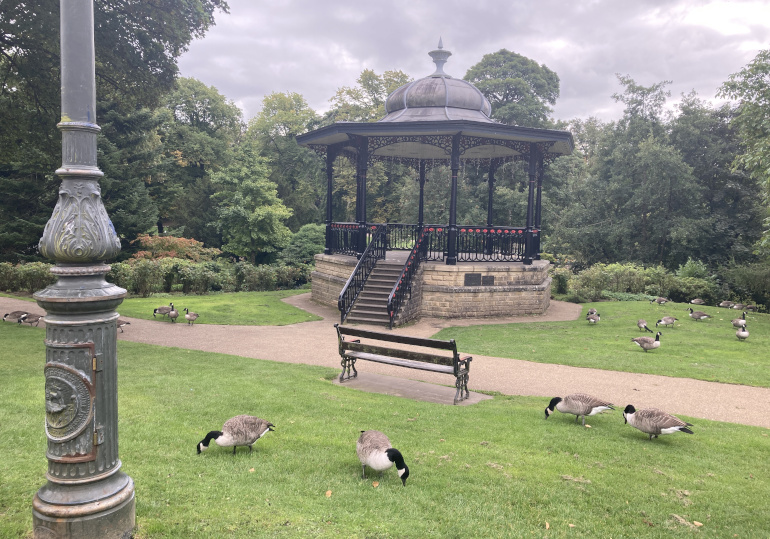 Bandstand and geese, Pavilion Gardens, Buxton. Photo by Judy Darley