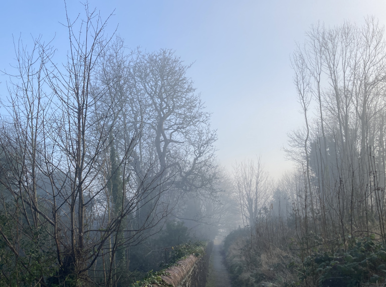 Arnos Vale fog. Photo by Judy Darley