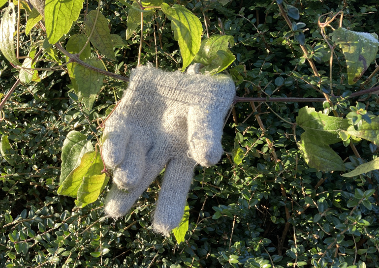 Lost glove in a bush by Judy Darley