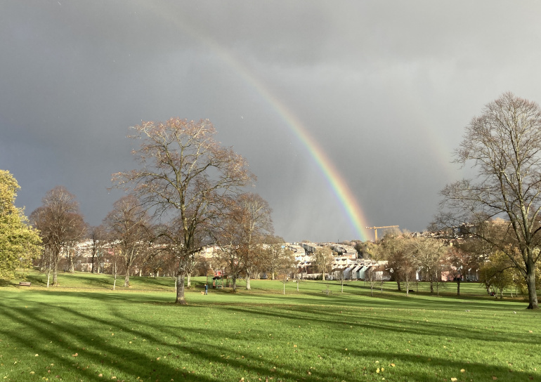 Rainbow by Judy Darley