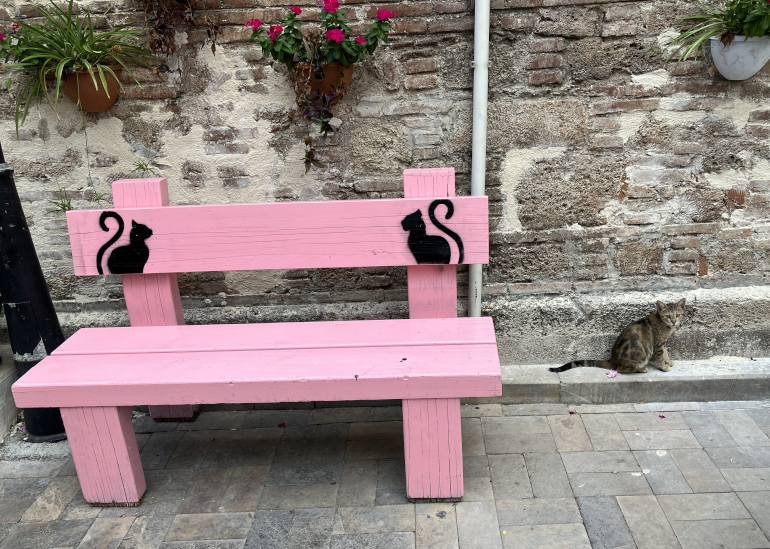 Cat and cat bench_Antalya_by Judy Darley