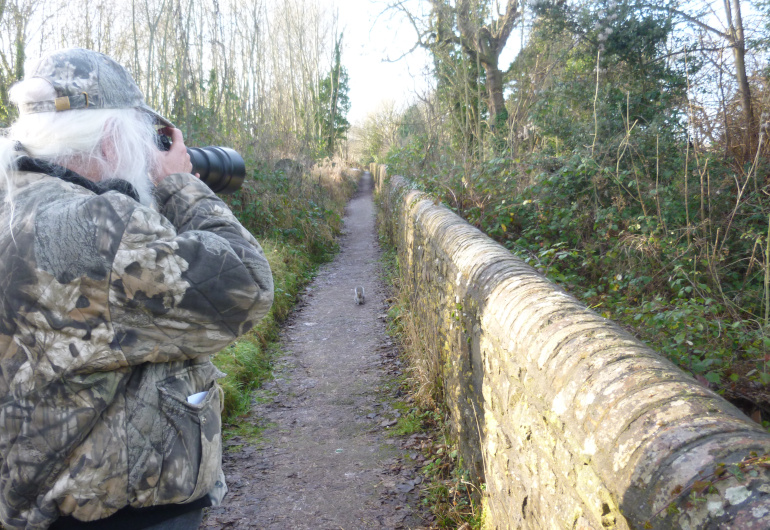 Photographer, robin and squirrel_Photo by Judy Darley