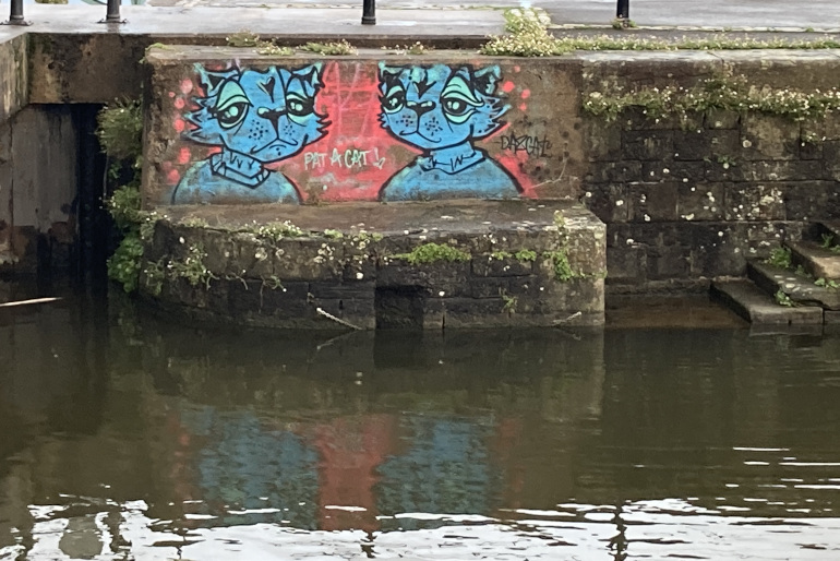 Cat graffiti at Bristol Harbour. Photo byy Judy Darley